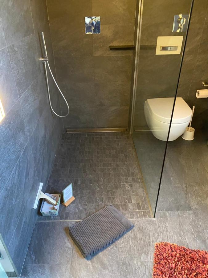 Apartment Mit Dachloggia Saarlouis Ngoại thất bức ảnh