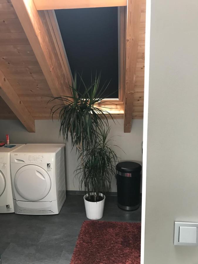 Apartment Mit Dachloggia Saarlouis Ngoại thất bức ảnh